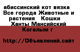 абиссинский кот вязка - Все города Животные и растения » Кошки   . Ханты-Мансийский,Когалым г.